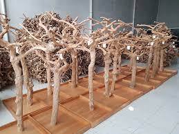 Árbol de Café Resistente de Alta Calidad para Jaulas de Loros, para Jugar, Masticar y Actividad Física Diaria, para Pedidos al por Mayor y Personalizados, Vietnam - Product Image 6