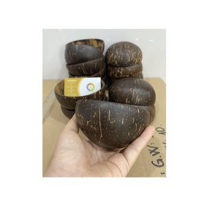 Vietnam Wholesale Handmade Natural Coconut Shell Bowl <b>Dinnerware</b> Set With Wooden Spoon Perfect for Desserts Fruit Salad Home - Product Image 6