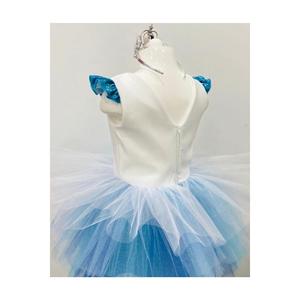 Costume da festa di compleanno modello Frozen ragazza Anna & Elsa
