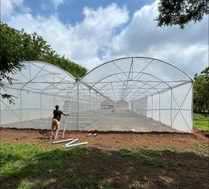 Advanced Multi Span Film <b>Greenhouse</b> for Crop Production Energy Efficient and Weather Resistant Agricultural Structure - Product Image 5