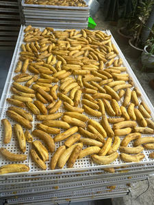 Banane à mâcher séchée douce pour l'exportation de bananes entières sèches d'usine fabriquées au Vietnam - Caryln 0084935825297 - Product Image 6