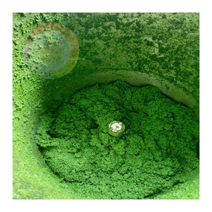 Feuilles de manioc surgelées de qualité supérieure à prix de gros-fraîches, nutritives et parfaites pour la cuisine africaine et asiatique - Product Image 6