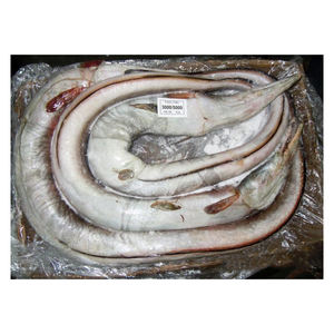 Anguila congelada nutritiva, venta al por mayor, suministro a granel, precio barato - Product Image 1