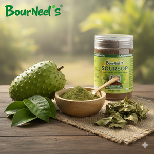 Poudre de feuilles de graviola au corossol 100gm thé au corossol naturel sans conservateurs ajoutés séché au soleil international exportation indienne - Product Image 1