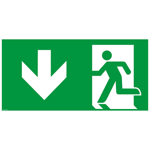 Señal de Salida de Emergencia Luminosa con Flecha Descendente 300x150mm RT-SCHILD-300-6-NL - Product Image 1