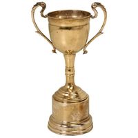 Trofeo de metal de calidad excepcional con una superficie de alto pulido y opciones de grabado personalizadas para cualquier logro