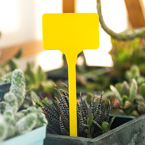 Étiquette de plante de jardin en plastique PP en forme de T 12 couleurs disponibles étiquette nominative marqueurs de plante étiquette de plante en plastique - Product Image 3