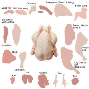 น่องไก่แช่แข็ง ฮาลาล ไขมันต่ำ จากบราซิล - Product Image 2