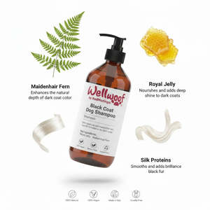 Shampoo per Cani con Pelo Nero 200 mL OEM PL Italia RedMoringa Prodotto per la Cura degli Animali - Product Image 3