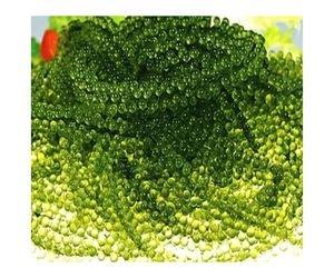<b>Fresh</b> Sea <b>Grapes</b> High Quality 100% Wild Craft Sea <b>Grapes</b> Healthy Natural Delicious Dried Sea <b>Grape</b> for Resell - Product Image 1