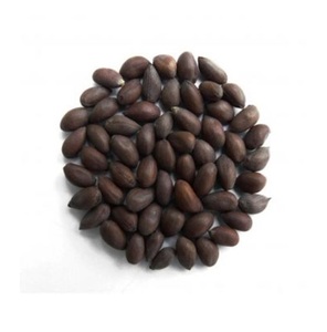 ขายเมล็ดฝ้ายคุณภาพสูง - Product Image 2