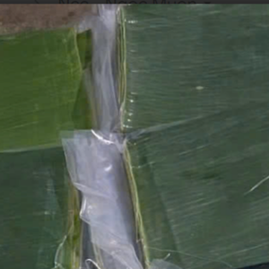 ใบกล้วยสดจากเวียดนาม | ห่ออาหารพรีเมี่ยมส่งออกในตลาดเอเชียราคาไม่แพง - Product Image 1