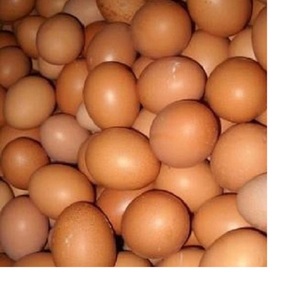 ไข่ไก่สีน้ำตาลสด ออร์แกนิก ฟาร์มปล่อยอิสระ โปรตีนธรรมชาติ ผู้จัดจำหน่ายอาหาร ขายส่ง ส่งออกจำนวนมาก - Product Image 3