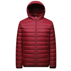 Veste matelassée pour hommes de haute qualité vêtements d'hiver confortables et légers avec col à capuche et prix du matériau en tissu - Product Image 3