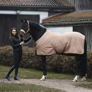 La mejor alfombra de caballo de alta calidad recién llegada, manta de invierno para exteriores, resistente al agua, diseñada con relleno de algodón - Product Image 2