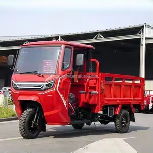 NUEVO EN PEDIDO + Mototaxi de 200cc con Motor de Gasolina Monocilíndrico Refrigerado por Agua, Triciclo de Pasajeros de Tres Ruedas - Product Image 3