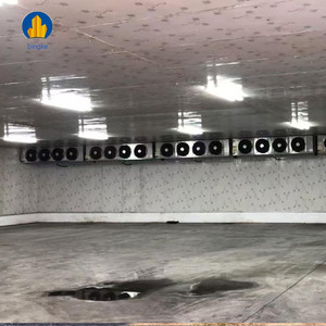 Congélateur de <span class=keywords><strong>chambre</strong></span> <span class=keywords><strong>froide</strong></span> monobloc complet avec compresseurs Dorin Tecumseh Bristol Daikin Copeland Sanyo pour le stockage des fruits de mer et des poissons - Product Image 6