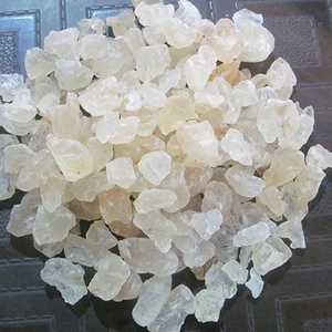 Sterculia Foetida/Gum Karaya Proveedor de Vietnam Mejor precio para el comprador Precio competitivo - Product Image 3