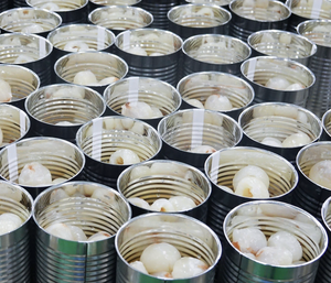 BLEU LOTUS VIETNAM LYCHEE EN CONSERVE AU SIROP PREMIUM GOÛT SUCRÉ EN GROS - Product Image 4