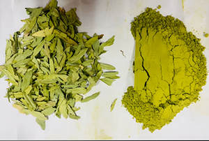 الأكثر مبيعًا مسحوق عشبي ممتاز من الدرجة الأولى مسحوق عشبي من نبات السنا خلاصة ملين طبيعي مباشرة من الشركة المصنعة للهند - Product Image 3