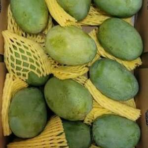 Mango Orgánico Puro y Natural de Grado AA 100% a Granel - Product Image 4