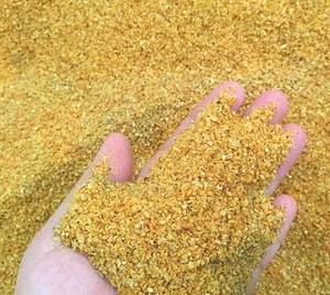 DDGS de Maíz, Granos de Destilador Secos con Solubles, Alimento para Animales Disponible para Exportación desde India, Mejor Calidad Natural - Product Image 1