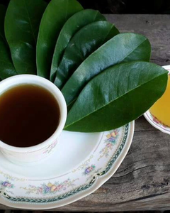 AUTÉNTICAS HOJAS DE URENTA SECAS DE VIETNAM-PRODUCTO HERBAL DE ALTA CALIDAD PARA LA EXPORTACIÓN - Product Image 1