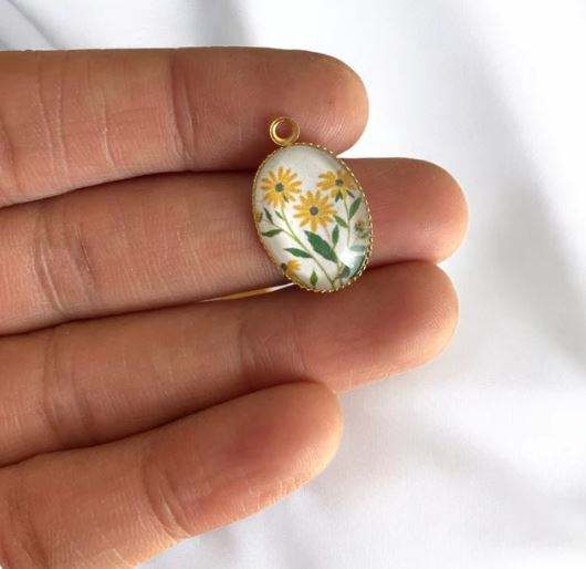 ดอกเดซี่สีเหลือง