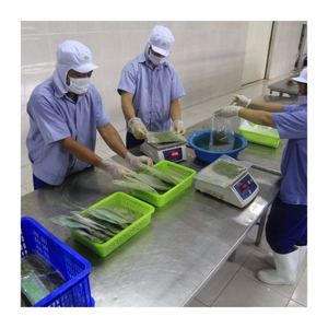 Fabricante de hojas de yuca congeladas de Vietnam de Confianza | Exportador de hojas de yuca picadas al por mayor para pedidos a granel en el mercado mundial - Product Image 1