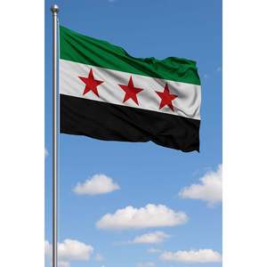 Drapeau extérieur personnalisé de la Syrie, techniques d'impression numérique, fanion de style mât de drapeau en aluminium, logo personnalisé, matériau polyester soyeux, pour le monde entier - Product Image 3