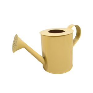 Canette d'eau en métal de qualité supérieure canette d'eau décorative couleur verte peinte à la main à la main élégante meilleure canette d'eau - Product Image 3