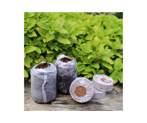 แผ่นใยมะพร้าวแบบเม็ดสำหรับใช้ในเวียดนามส่งออกมาตรฐาน-แผ่นใยมะพร้าวสำหรับการผลิตในสถานรับเลี้ยงเด็กแบบมืออาชีพ - Product Image 5