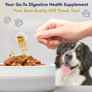 OEM/ODM Liquide Cognitif DHA Biologique à base de Champignon <span class=keywords><strong>Crinière</strong></span> de Lion pour le Soutien du Cerveau et du Système Nerveux 240g pour Chiens et Chats Riche en Protéines - Product Image 5