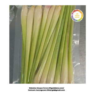 Hierba de limón congelada de origen vietnamita cuidadosamente seleccionada de fragancia natural y congelada por expertos para exportación en paquetes a granel - Product Image 4