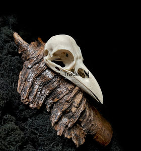 Statue d'animal sculptée en résine de designer Tradebyd, qualité supérieure, objet décoratif artistique de collection pour l'intérieur de la maison, cadeau - Product Image 3