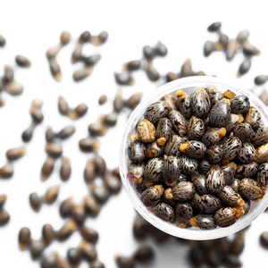 IndianJadiBooti Haute Qualité 100% Naturel Séché Ricinus Communis Graines Graines De Ricin Meilleur Exportateur Produits Agricoles Inde - Product Image 2