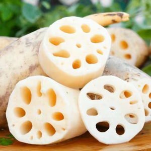 POLVO DE RAÍZ DE LOTO DE VIETNAM-NUTRITIVO, ORGÁNICO Y NATURAL PARA SU FAMILIA/POLVO SUPERIOR EN VIETNAM - Product Image 5