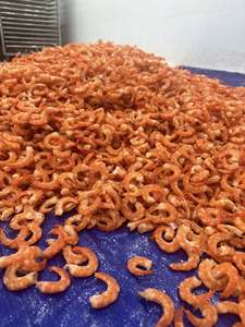 Crevettes séchées au soleil du Vietnam de qualité supérieure, parfaites pour les soupes, les frites et la cuisine asiatique, collation naturelle à pleine saveur - Product Image 3