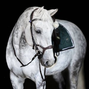 Joya Bride Bride de cheval en cuir Bride de cheval en cuir Design personnalisé - Product Image 2