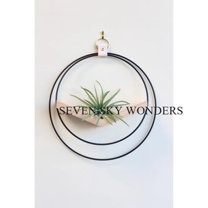 Maceta colgante de hierro y Metal de forma redonda de alta calidad hecha de marco de alambre, accesorio de maceta de decoración de balcón con revestimiento de polvo de Color negro - Product Image 3