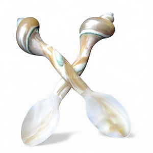 Cuchara de Nácar para Yogur, Postre y Uso en Mesa de Alta Cocina, Hecha en Vietnam - Product Image 1