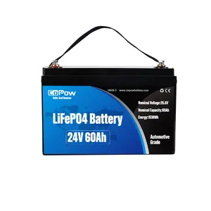 Baterai lithium ion 24V 36V 40Ah 60Ah dapat diisi ulang untuk RV trolling motor timbal asam pengganti 24V LiFePO4 baterai