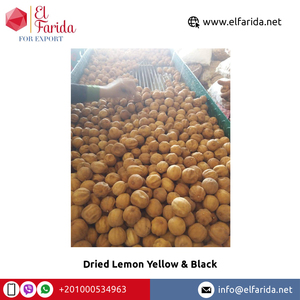 2022 Hot Selling Good Quality High Nutritious Yellow and Black Wonderful Delicious Dried Lemon for Bulk Purchase - Product Image 2