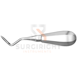 Elevadores dentales de acero inoxidable de alta resistencia Raíces Instrumentos dentales Electricidad Diente que suelta Elevadores de raíces dentales - Product Image 4