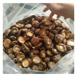 Hongos Shiitake secos de alta calidad exportados de los mejores productores de Vietnam - Product Image 1