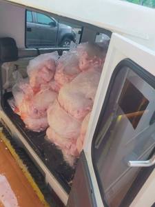 Piernas de pollo congeladas HALAL - Muslos de pollo en oferta - Product Image 2