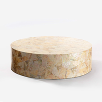Table basse ronde en nacre haut de gamme fabriquée à la main table basse de luxe en gros meubles de maison du Vietnam