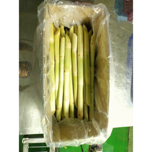 Varitas de caña de azúcar congeladas orgánicas a granel de Vietnam, naturalmente dulces y frescas, perfectas para hacer jugo y distribución internacional - Product Image 3