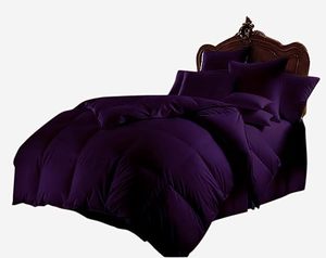 Classic 5-Piece 600TC Cotton All-Season <b>Comforter</b> Set with Breathable Twin Size Pillowcases Washable - Product Image 3