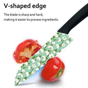 Cuchillo de Chef de Cerámica de Alta Calidad, Personalizado para Acampar al Aire Libre, Mango de Plástico, Duradero, Entrega Rápida, Suministro al por Mayor - Product Image 5